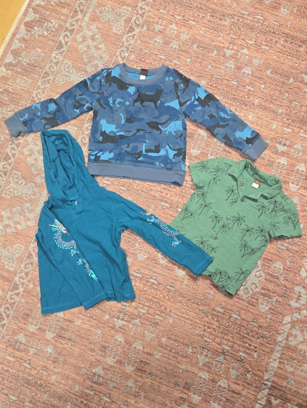 Tea Collection Camo Pullover, Teal Hoodie & Green Palm Polo Shirt Set
